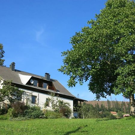 Urlaub Wie Frueher Bei Oma Hermagor-Pressegger See Exterior photo